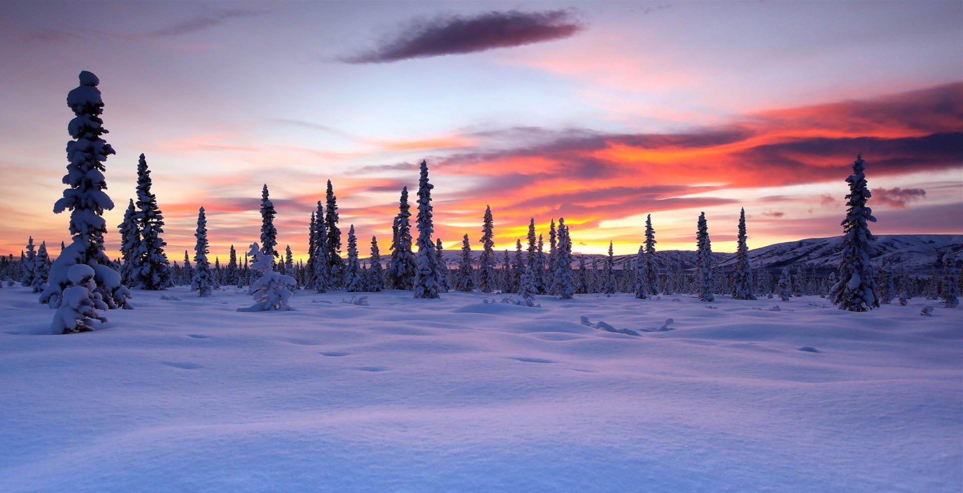 Download Snow Tree Cloud Sky Landscape Sunset Nature Winter Winter ...
