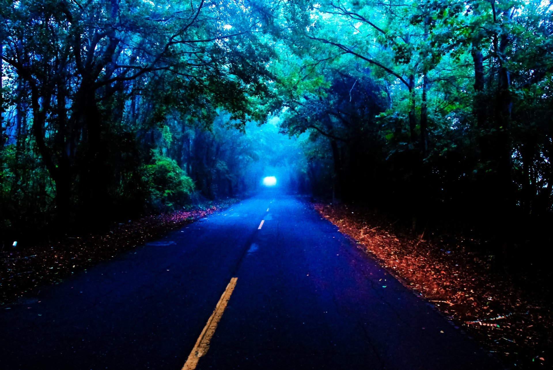 4K Ultra HD PC desktop wallpaper: a foggy evening road through fall trees, man-made asphalt lane with yellow centerline, damp leaves along the shoulder and a distant glowing light.