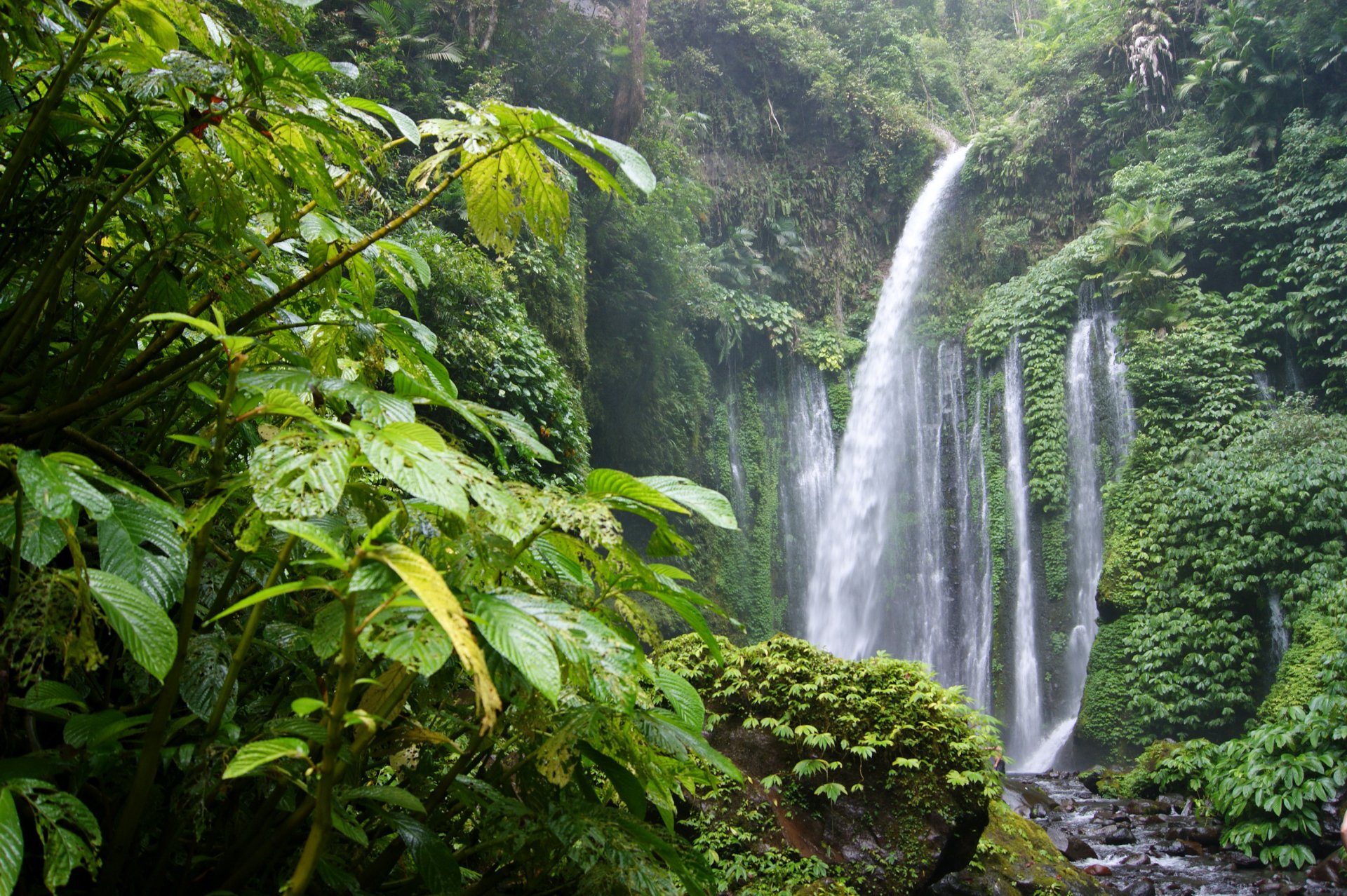 Rainforest Waterfall HD Wallpaper | Background Image | 3500x2330 | ID