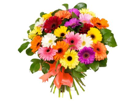 Vibrant bouquet of red, white, purple, orange, and yellow gerbera flowers tied with an orange ribbon, displayed on a clean white background as a colorful HD desktop wallpaper.