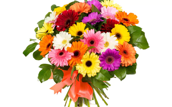 Vibrant bouquet of red, white, purple, orange, and yellow gerbera flowers tied with an orange ribbon, displayed on a clean white background as a colorful HD desktop wallpaper.