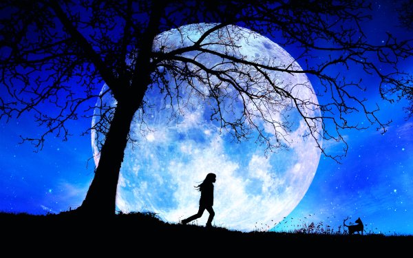 Artistic Moon Night Little Girl Silhouette Cat Tree Blue HD Wallpaper | Background Image