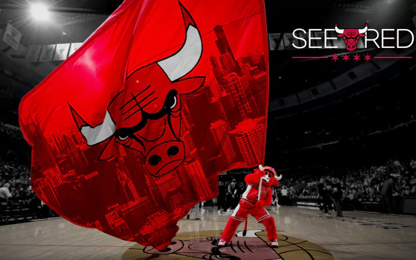 HD desktop wallpaper featuring the Chicago Bulls logo with a SEE RED slogan, within a basketball arena setting.