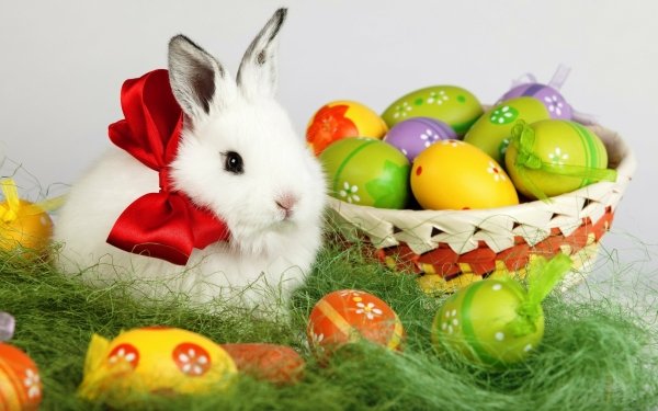 Día festivo Pascua Bunny Huevo Basket Conejo Fondo de pantalla HD | Fondo de Escritorio
