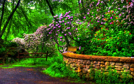 HDR image of a vibrant spring park scene with blooming flowers, lush trees, and a rustic stone wall, captured as an HD PC desktop wallpaper and background.