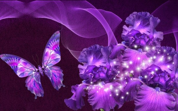 Abstract Purple Butterfly Flower HD Wallpaper | Background Image