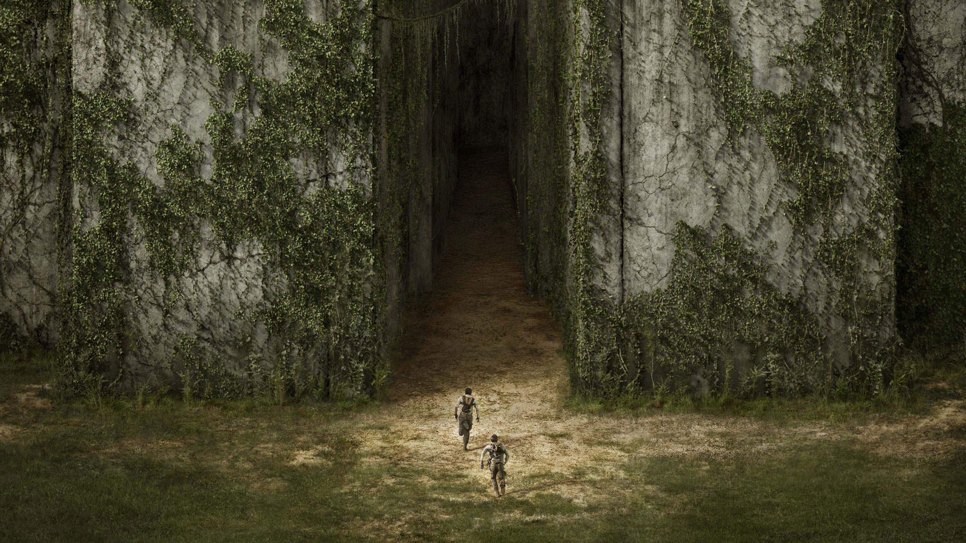 Movie The Maze Runner HD Wallpaper | Background Image