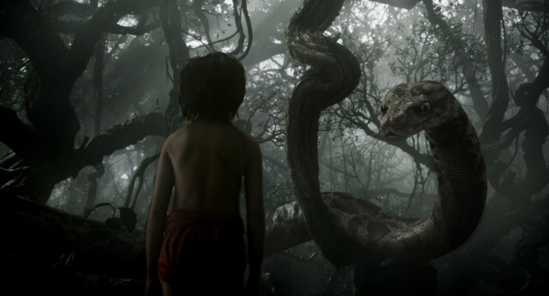 HD PC desktop wallpaper from the movie The Jungle Book (2016) showing Mowgli facing Kaa the snake in a dense, misty jungle setting.
