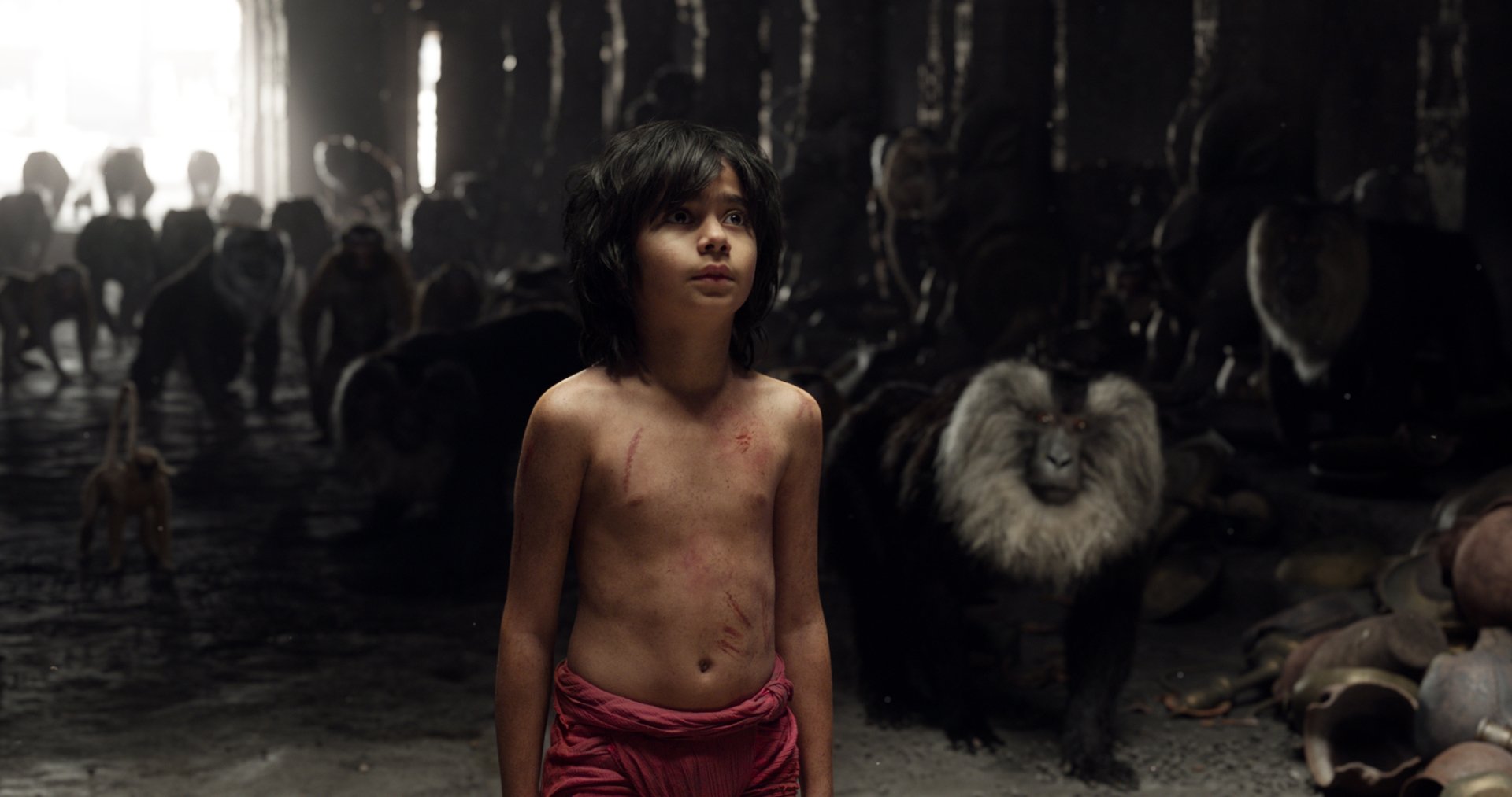 Download movie the jungle book 2016 hd wallpaper