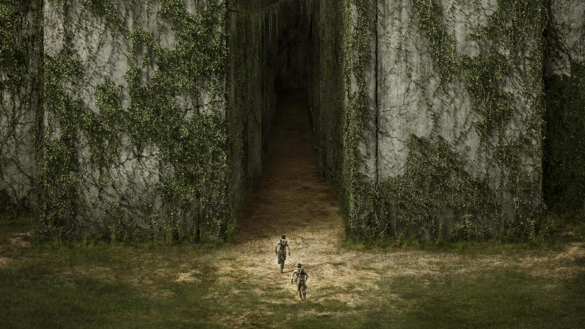 Download Movie The Maze Runner HD Wallpaper
