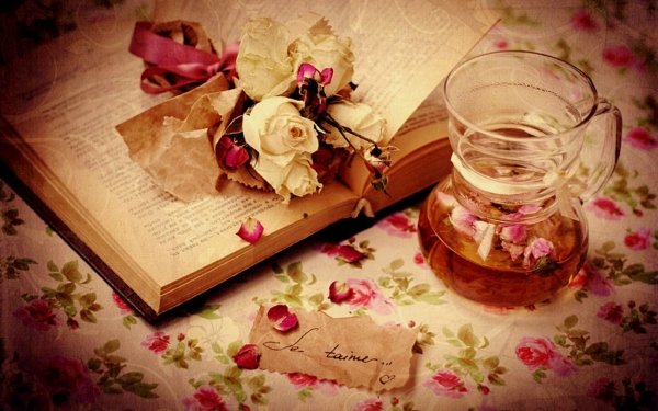 Artistic Love Rose Book Glass Romantic HD Wallpaper | Background Image