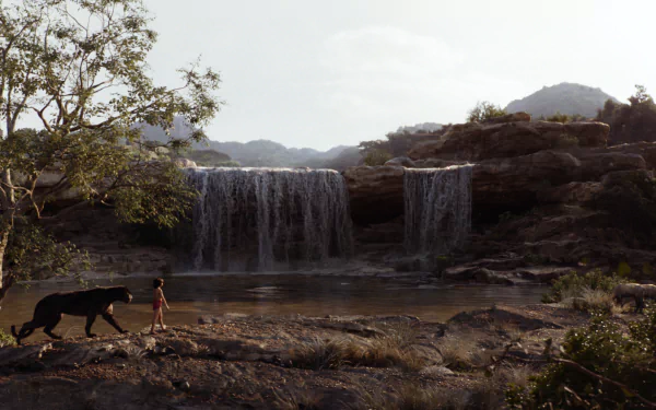 movie The Jungle Book (2016) HD Desktop Wallpaper | Background Image