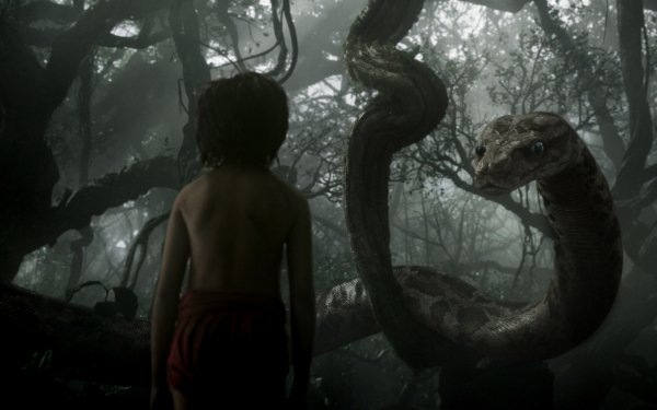 Movie The Jungle Book (2016) The Jungle Book HD Wallpaper | Background Image