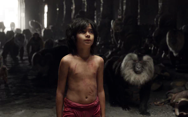 movie The Jungle Book (2016) HD Desktop Wallpaper | Background Image
