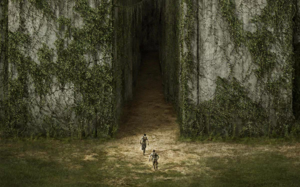movie The Maze Runner HD Desktop Wallpaper | Background Image