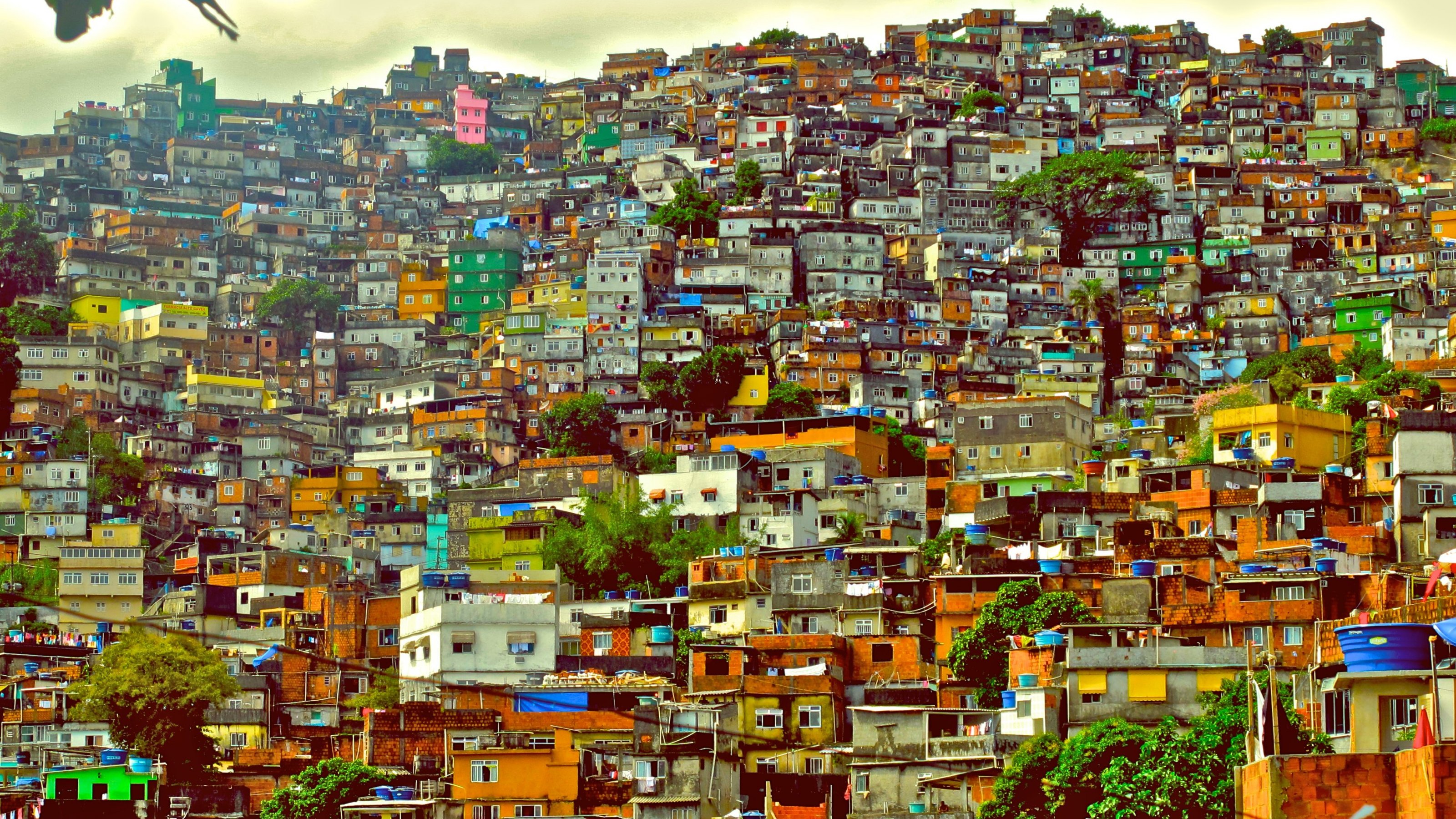 Man Made Favela HD Wallpaper | Background Image