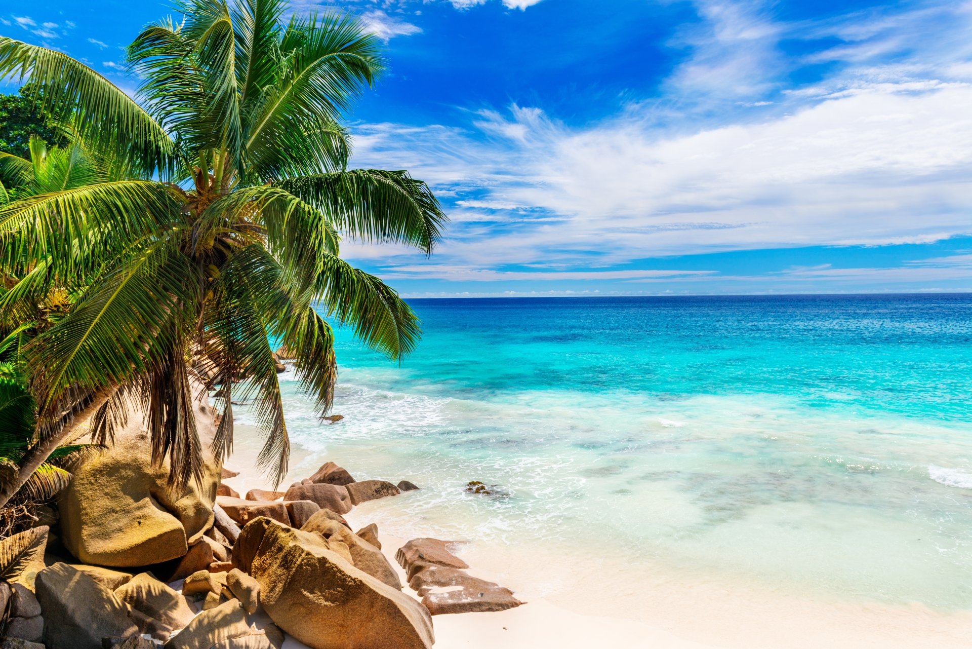 Download Horizon Palm Tree Blue Turquoise Ocean Seychelles Tropical Nature Beach  4k Ultra HD Wallpaper
