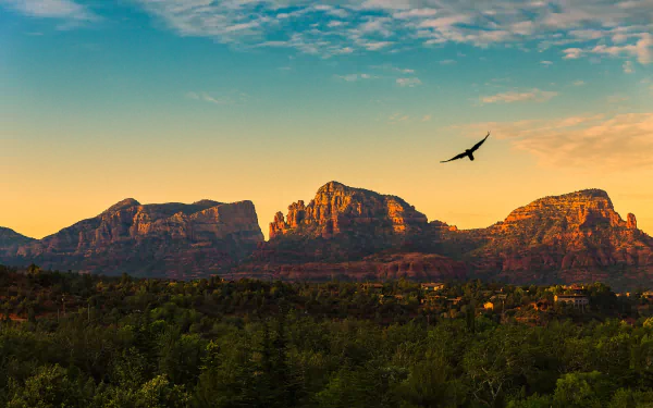 HD desktop wallpaper featuring a vibrant Arizona landscape with forested foreground, rugged mountains bathed in sunset light, and a bird soaring in the sky.