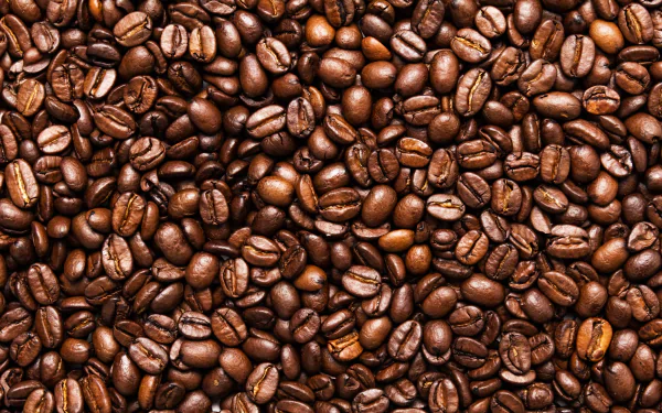 Close-up of roasted coffee beans in rich brown tones, presented as a vibrant 4K Ultra HD PC desktop wallpaper background.