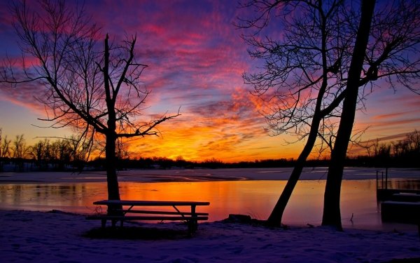 Photography Sunset Earth Lake Bench Tree Silhouette HD Wallpaper | Background Image