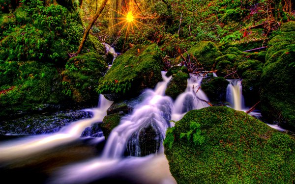 Earth Waterfall Waterfalls Forest Green Sunset Sunbeam Moss HD Wallpaper | Background Image