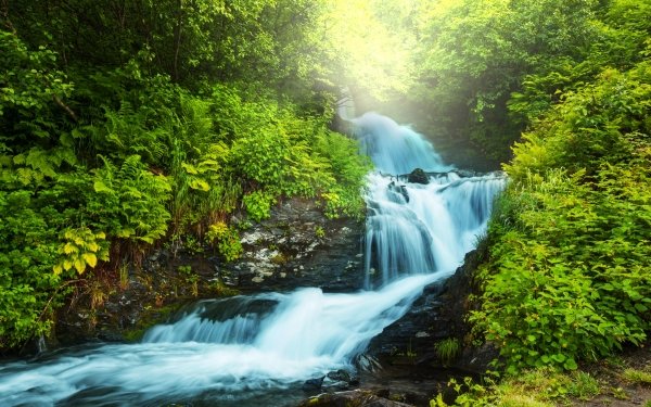 Earth Waterfall Waterfalls Tree Green HD Wallpaper | Background Image
