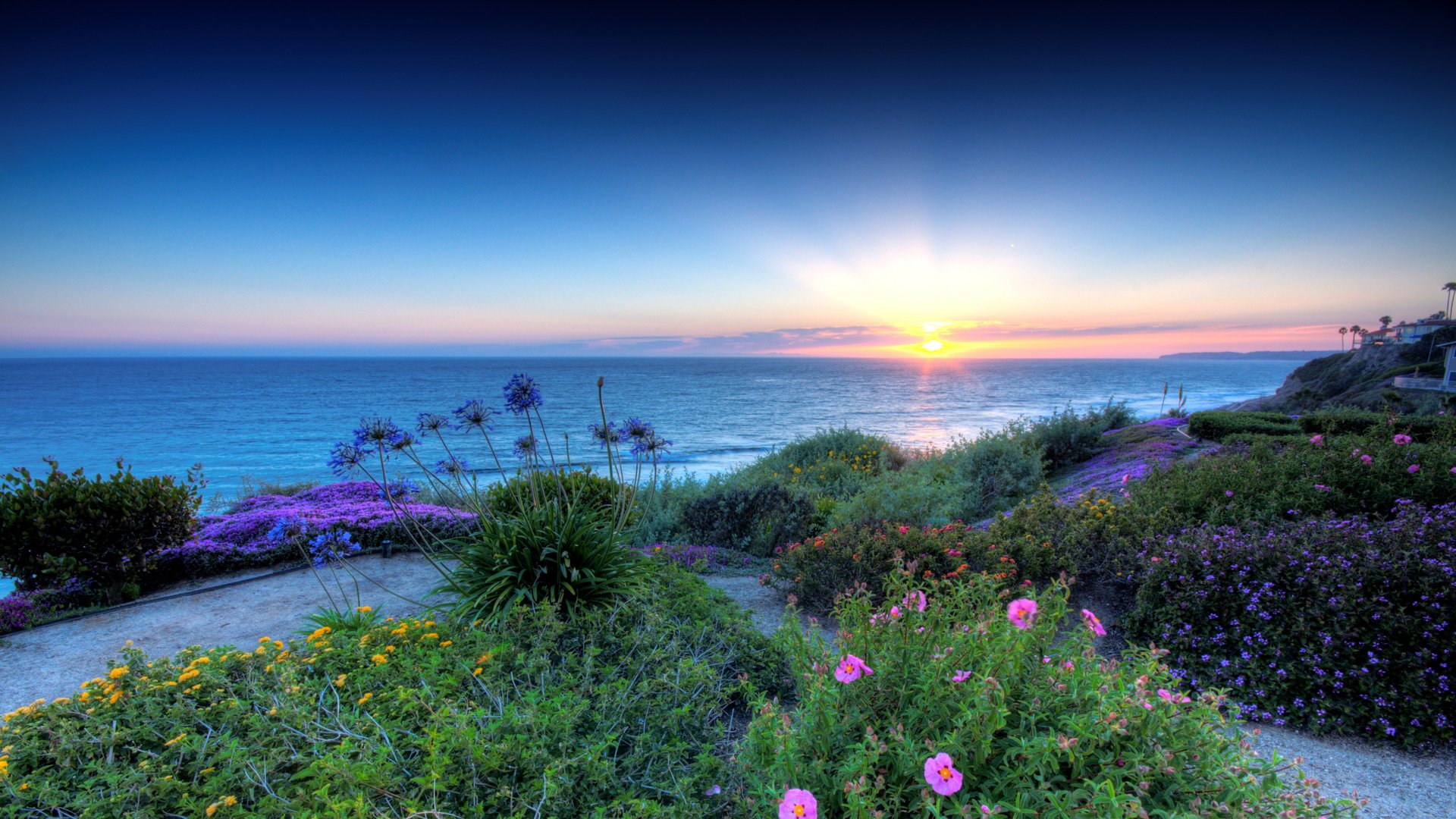 Download Horizon Sunset Flower Ocean Nature Coastline HD Wallpaper