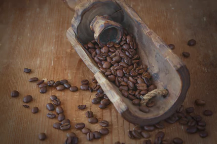 A rustic wooden scoop filled with brown coffee beans rests on a wooden surface, capturing the essence of coffee in this HD desktop wallpaper.