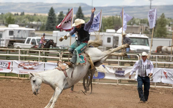 HD desktop wallpaper capturing a rodeo scene with a cowboy expertly riding a bucking horse, set against a sports arena backdrop with flags and spectators.