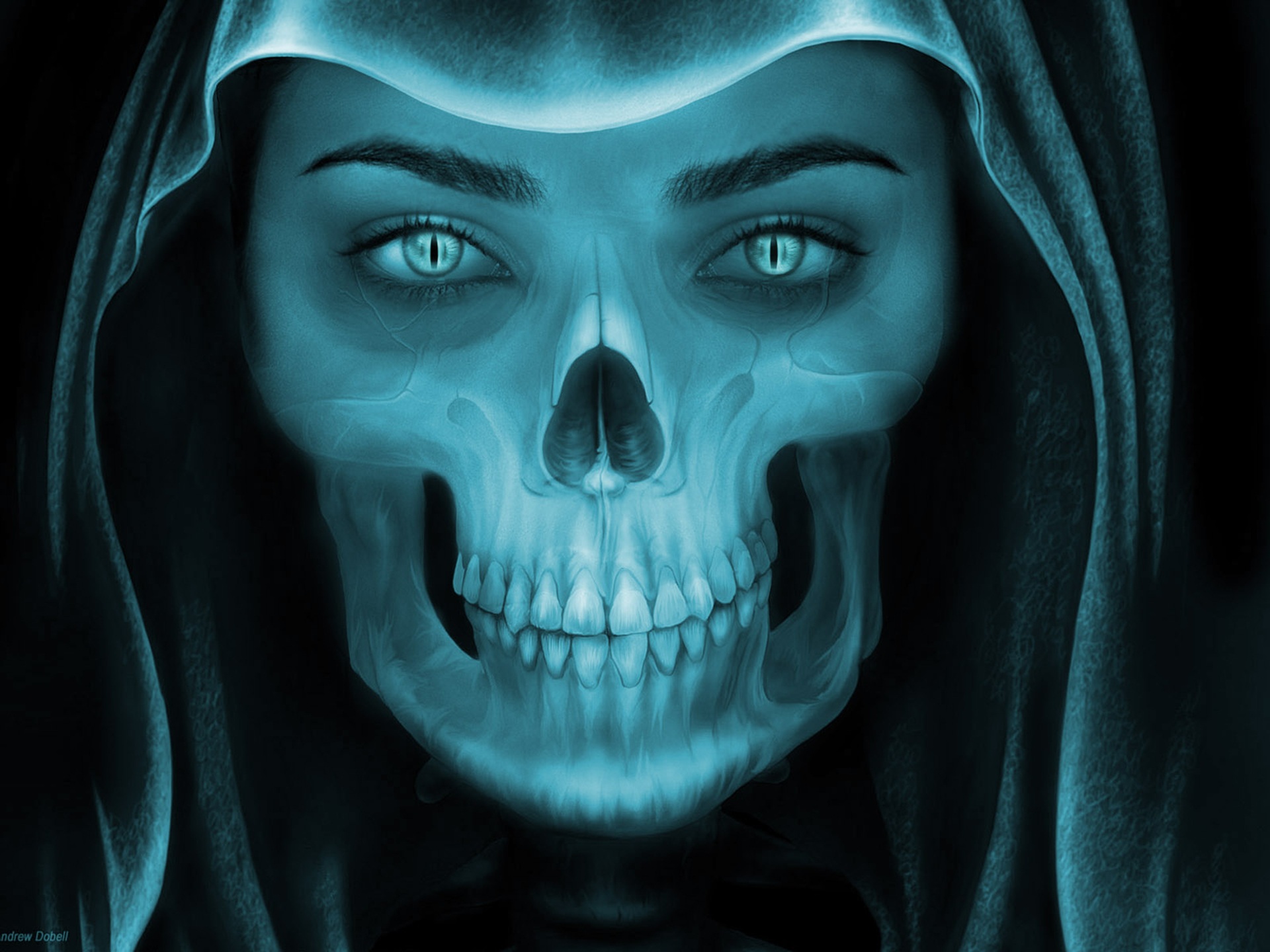 Blue x-ray skull by Andrew Dobell