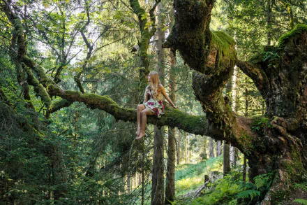 A woman with blonde hair sits on a mossy tree branch in a lush forest, creating a serene and contemplative mood in this HD outdoor wallpaper.