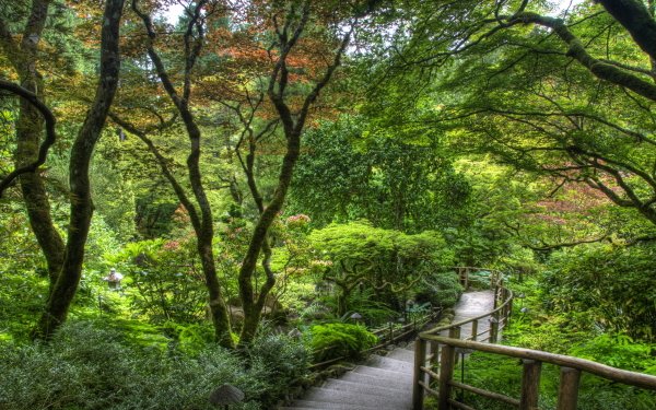 Man Made Stairs Walkway Park Green Tree HDR HD Wallpaper | Background Image