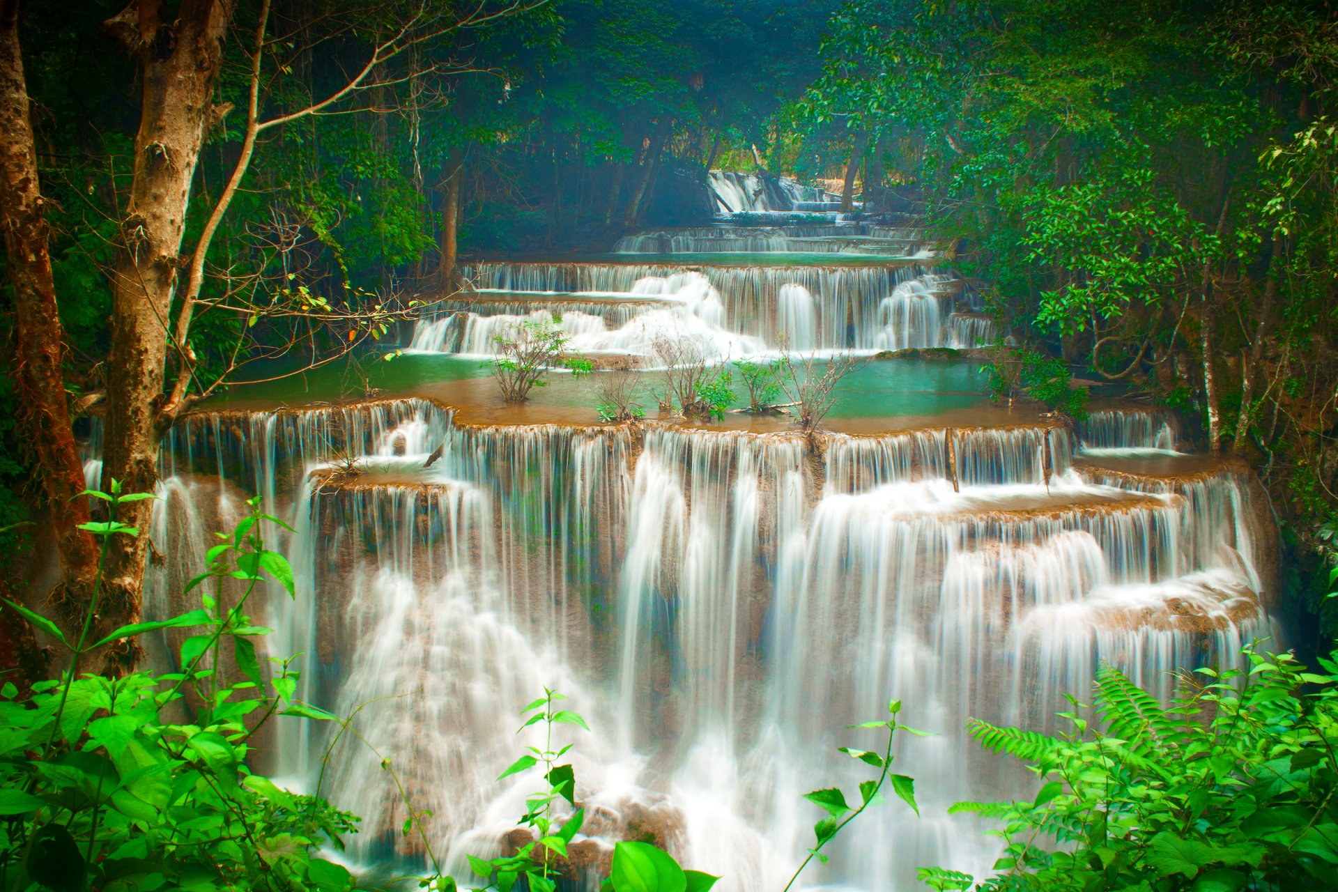 Download Tree Green Tropical Forest Thailand Nature Waterfall  HD Wallpaper