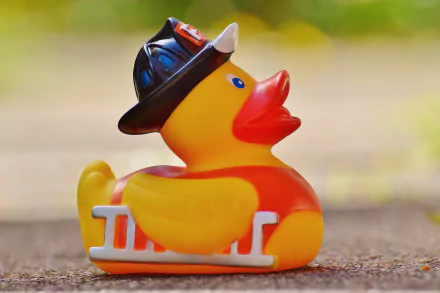 duck rubber duck man made toy HD Desktop Wallpaper | Background Image