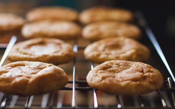 biscuit food cookie HD Desktop Wallpaper | Background Image