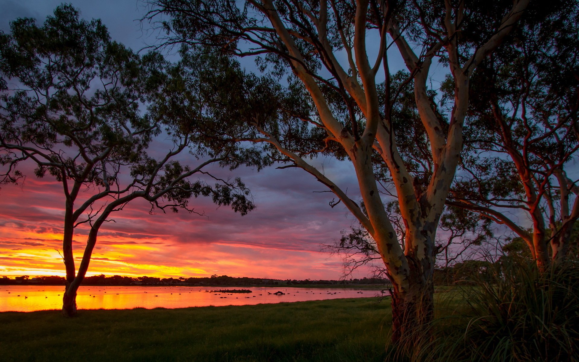 Lake Sunset