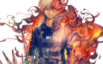 540 Shoto Todoroki Hd Wallpapers Background Images