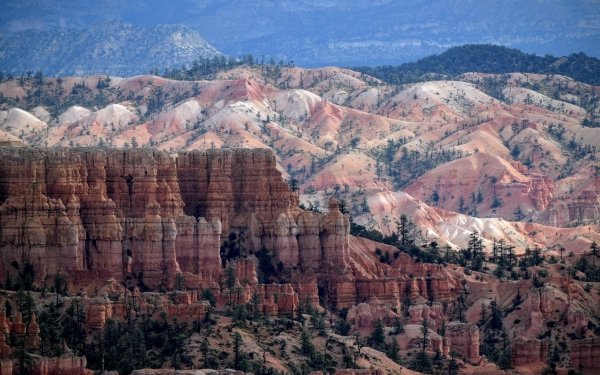 Earth Bryce Canyon National Park National Park Rock Utah USA Nature Canyon Cliff Landscape HD Wallpaper | Background Image