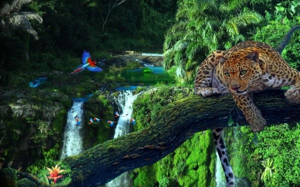 Fantasy Animal Fantasy Animals Jungle Forest Tropical Leopard Bird Colors Colorful Waterfall Tree HD Wallpaper | Background Image