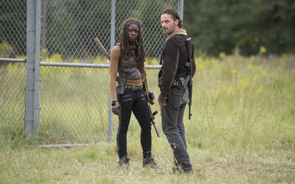 TV Show The Walking Dead Rick Grimes Andrew Lincoln Michonne Danai Gurira HD Wallpaper | Background Image