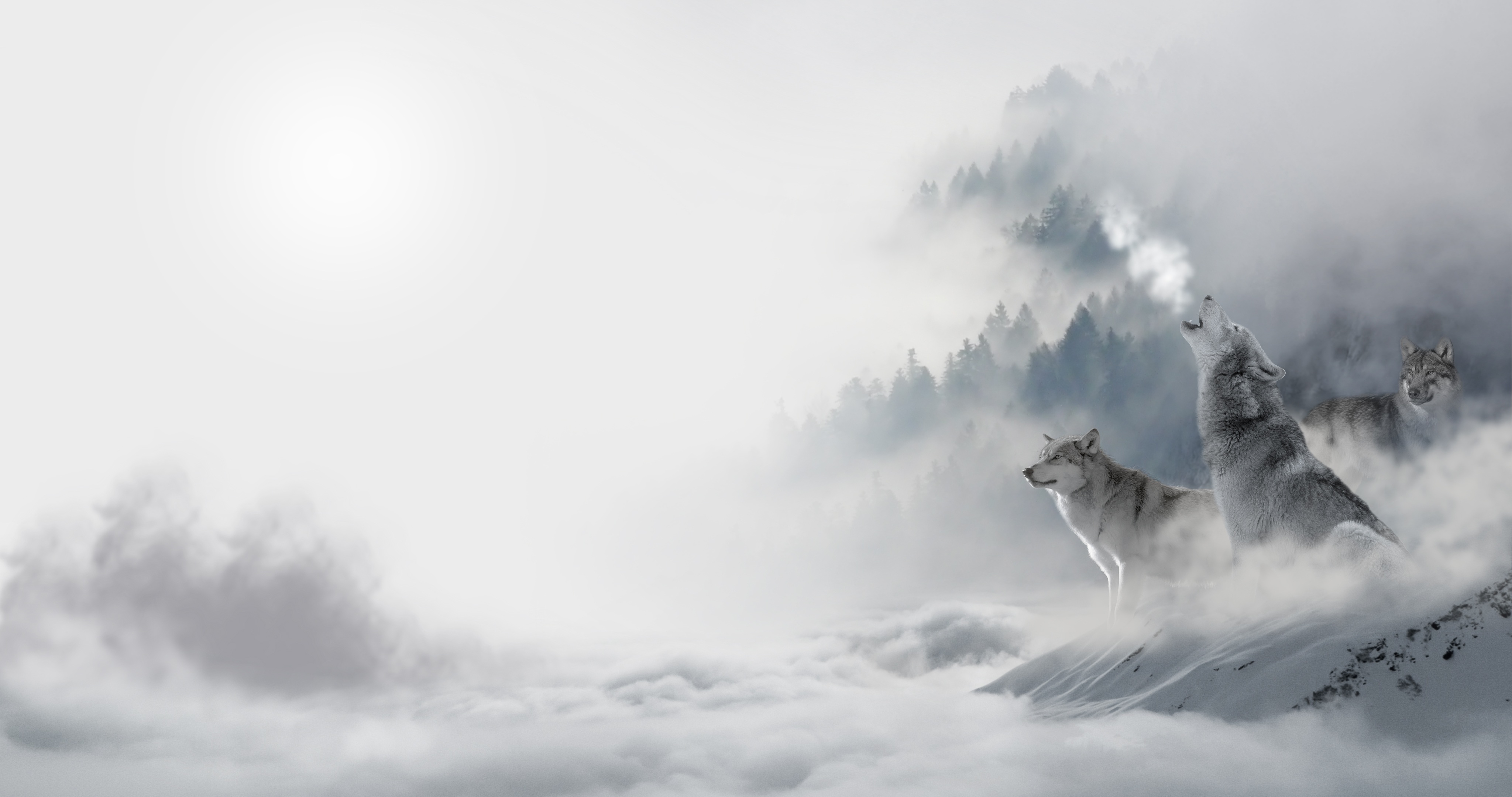 Sói tinh thần với những khoảnh khắc huyền ảo và đầy tính nghệ thuật sẽ khiến bạn say đắm. Đến với ảnh sói để khám phá thế giới đầy ẩn ý và sức mạnh của loài động vật này.