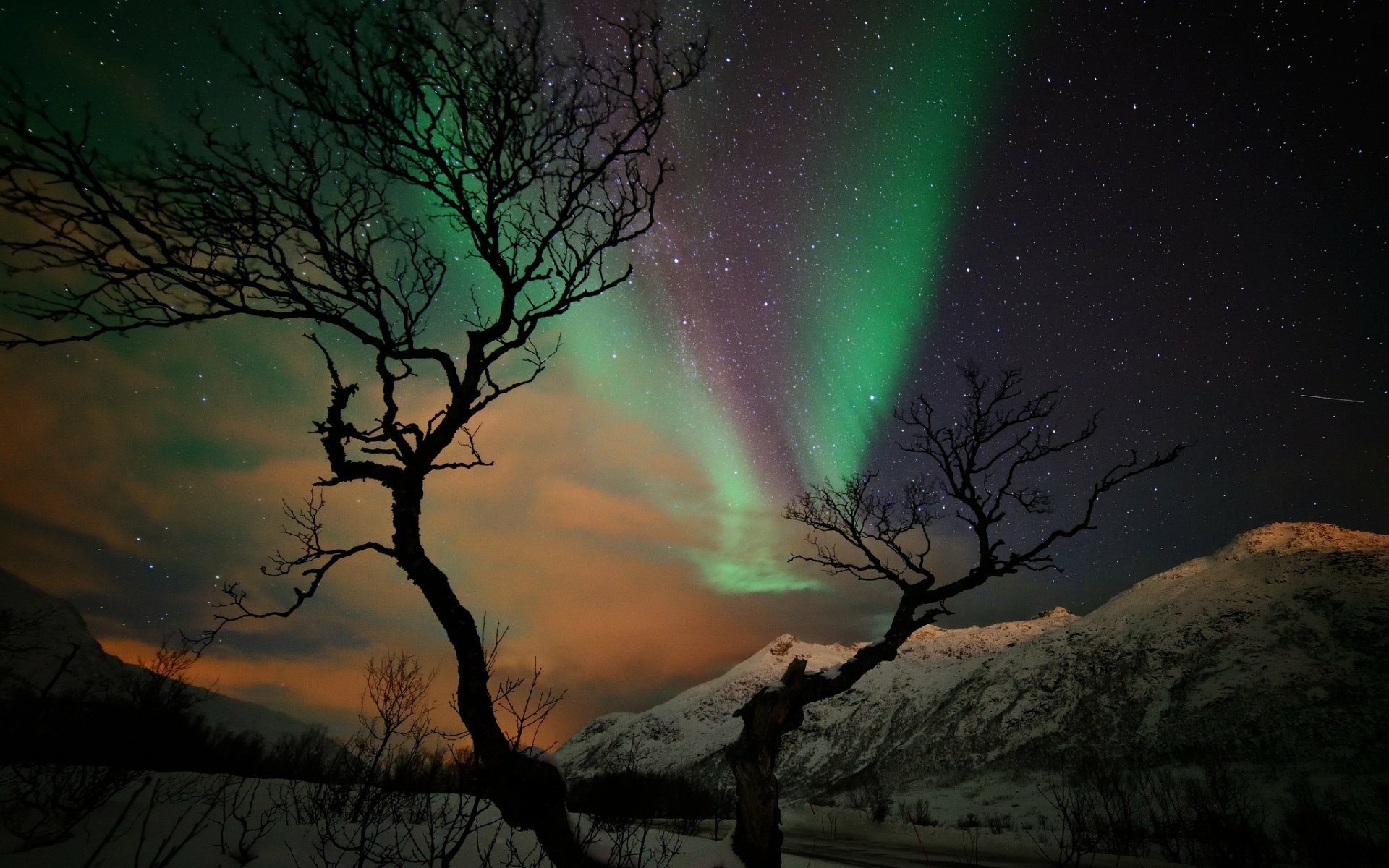 Download Winter Mountain Silhouette Tree Light Sky Nature Aurora Borealis HD Wallpaper