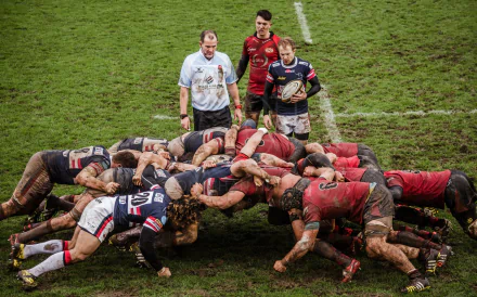 rugby Sports HD Desktop Wallpaper | Background Image