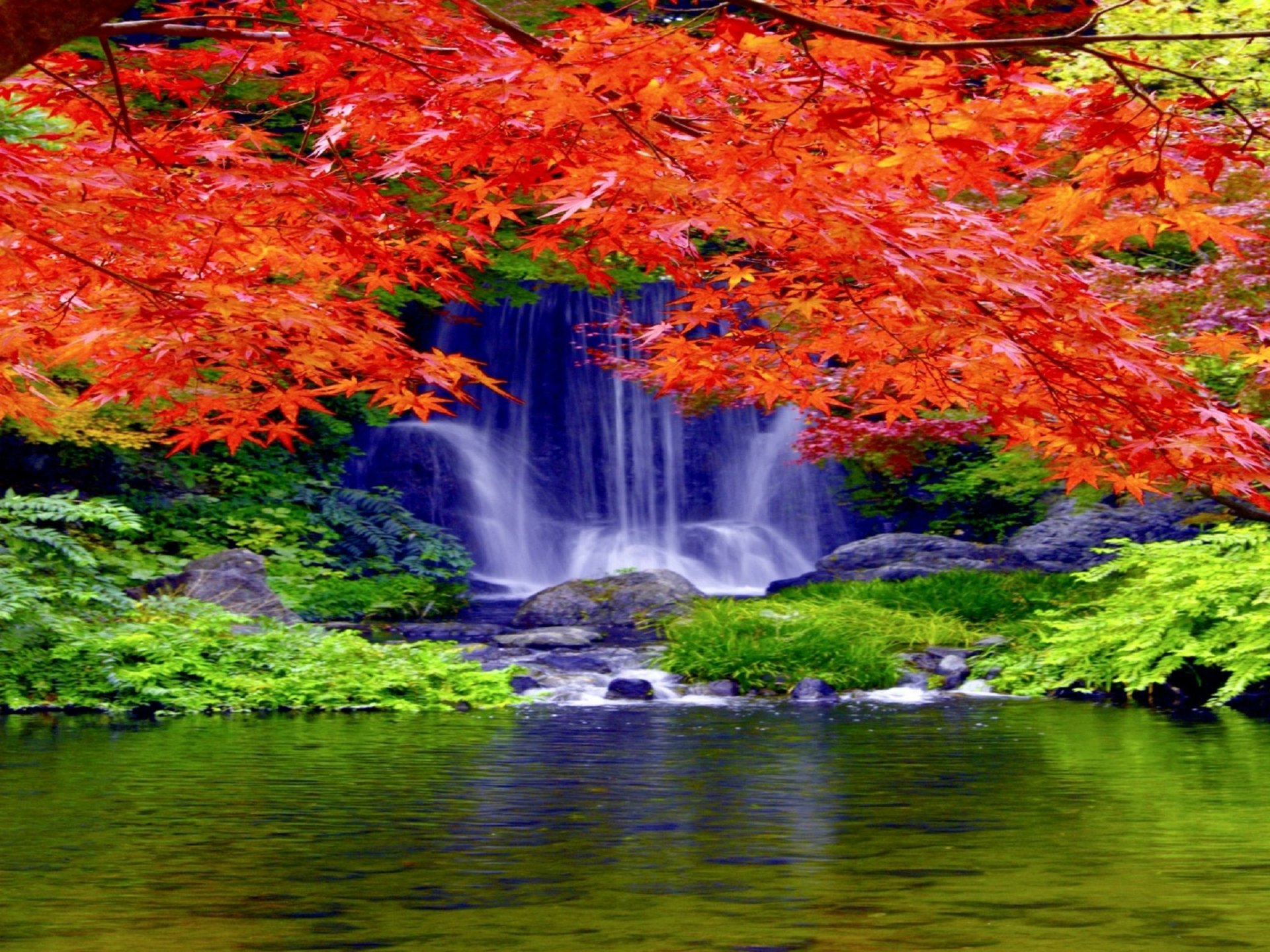 Download Nature Waterfall HD Wallpaper