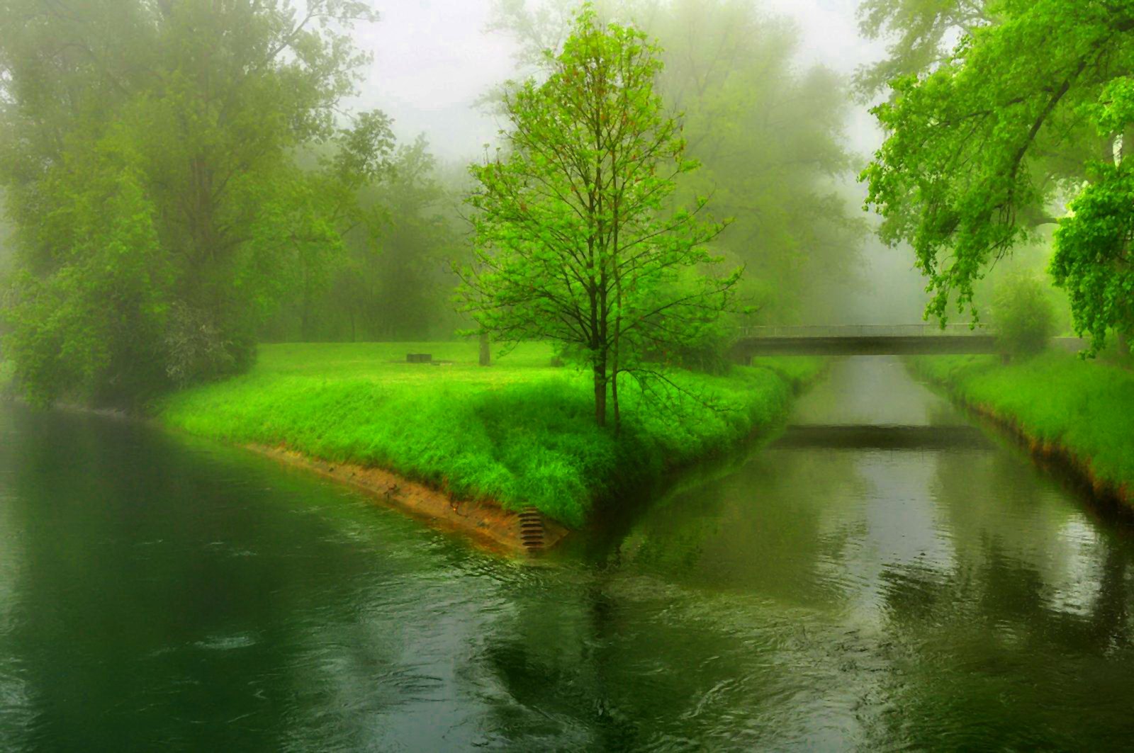 HD wallpaper of a serene green landscape featuring rain-soaked grass, a lone tree, and a calm river flowing beneath a small bridge in a misty natural setting.