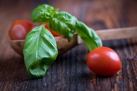 spoon tomato food basil HD Desktop Wallpaper | Background Image