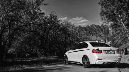 A sleek white BMW vehicle parked on a forest-lined road, captured in high-resolution 4K Ultra HD for PC desktop wallpaper and background.