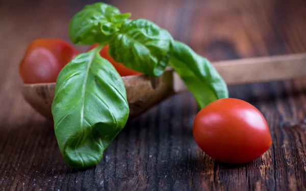 spoon tomato food basil HD Desktop Wallpaper | Background Image