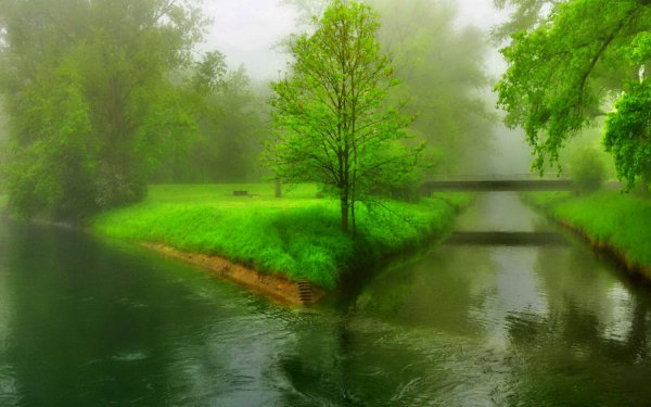 Earth River Green Tree Grass Rain HD Wallpaper | Background Image