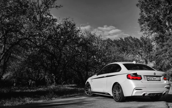 A sleek white BMW vehicle parked on a forest-lined road, captured in high-resolution 4K Ultra HD for PC desktop wallpaper and background.